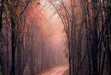 非凡体育：2022賽季中超聯賽第14輪比賽集錦.