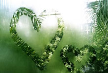 非凡体育：在线直播体育比赛电竞比赛竞猜平台体育频道世界杯.