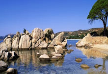 非凡体育：羽毛球世界冠军进校园!青岛启元学校校园内掀起运动热潮.